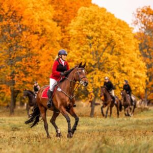 Förjakt på Norra Djurgården – en hösttradition i full galopp @ Fisksjöäng