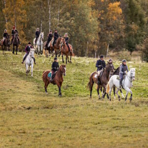 Förjakt på Norra Djurgården – en hösttradition i full galopp @ Fisksjöäng
