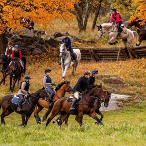 Förjakt på Norra Djurgården – en hösttradition i full galopp @ Fisksjöäng