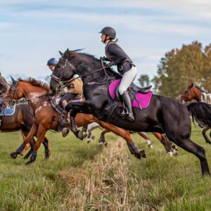 Förjakt på Norra Djurgården – en hösttradition i full galopp @ Fisksjöäng
